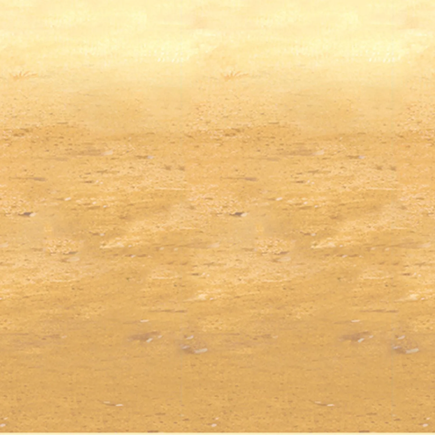 Beistle Desert Sand Backdrop 4' x 30' (1/Pkg) Party Supply Decoration : Western