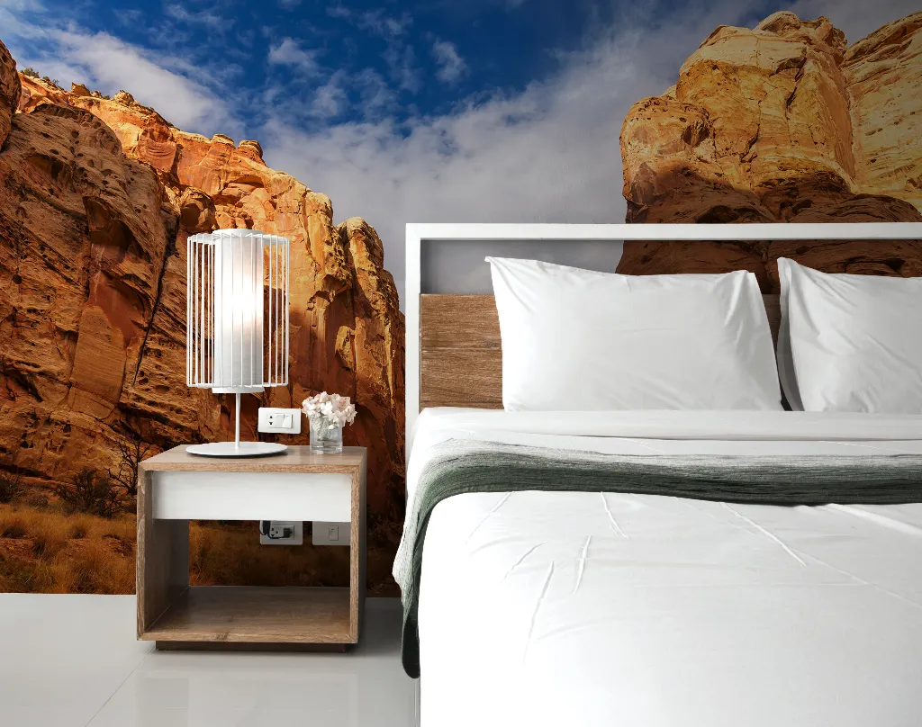 Desert Canyon Wallpaper Mural