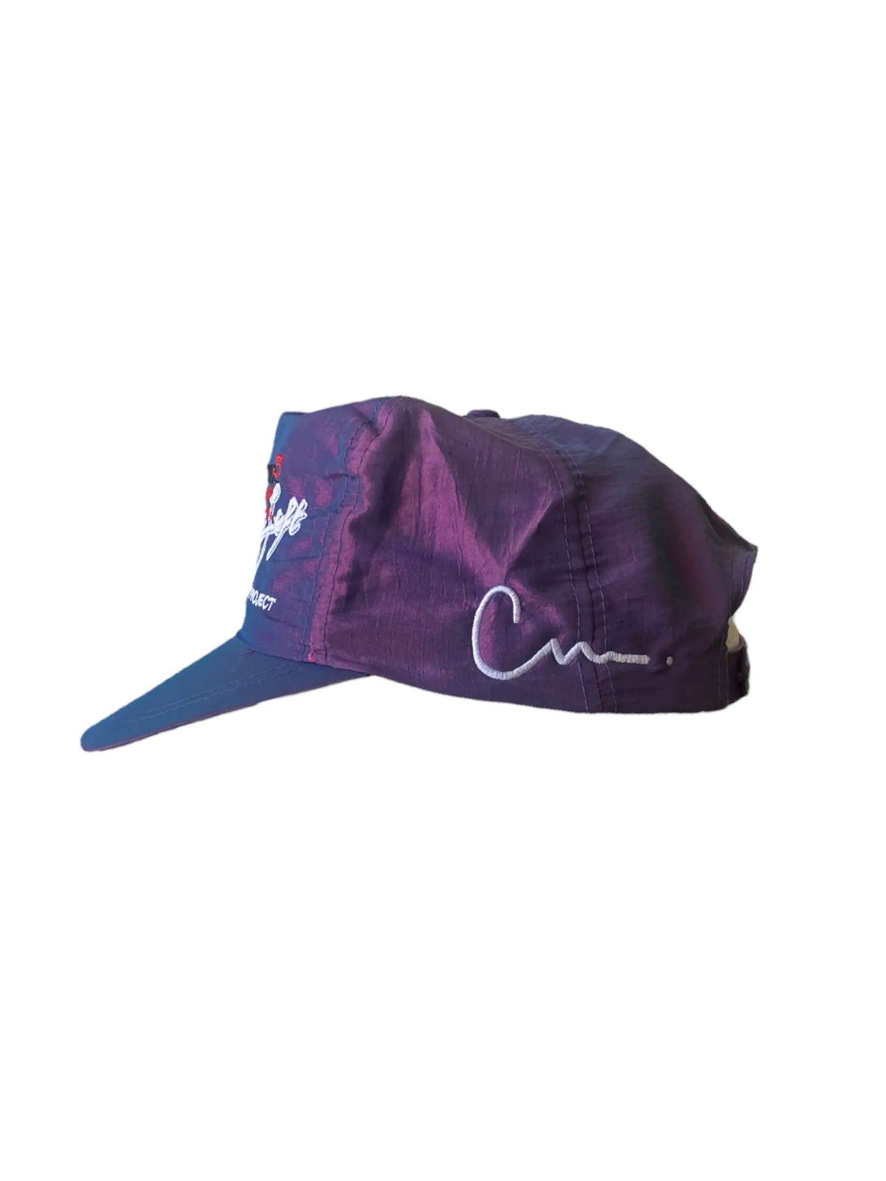 Desert center SnapBack iridescent purple