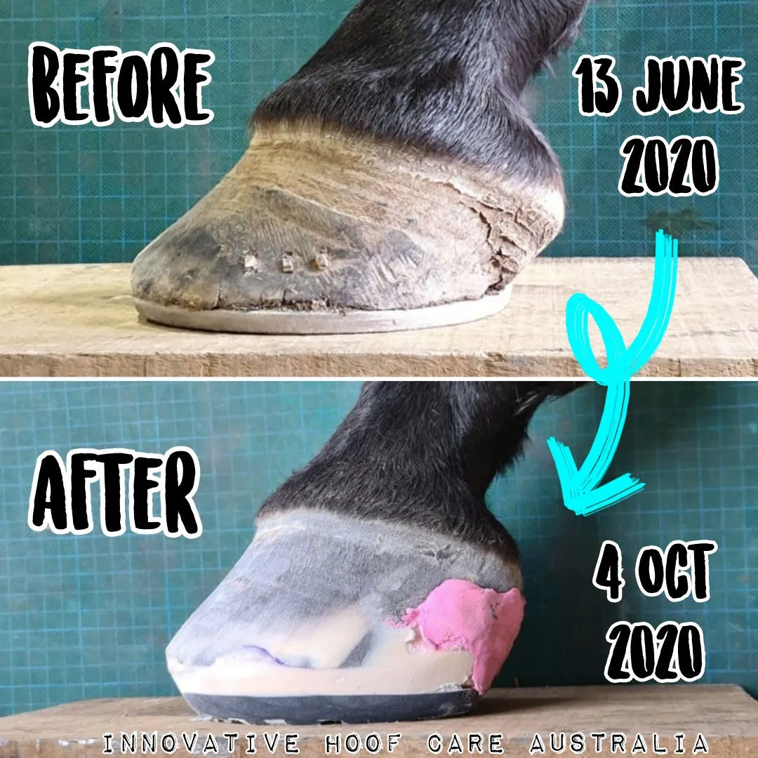 EponaShoe (Pair)