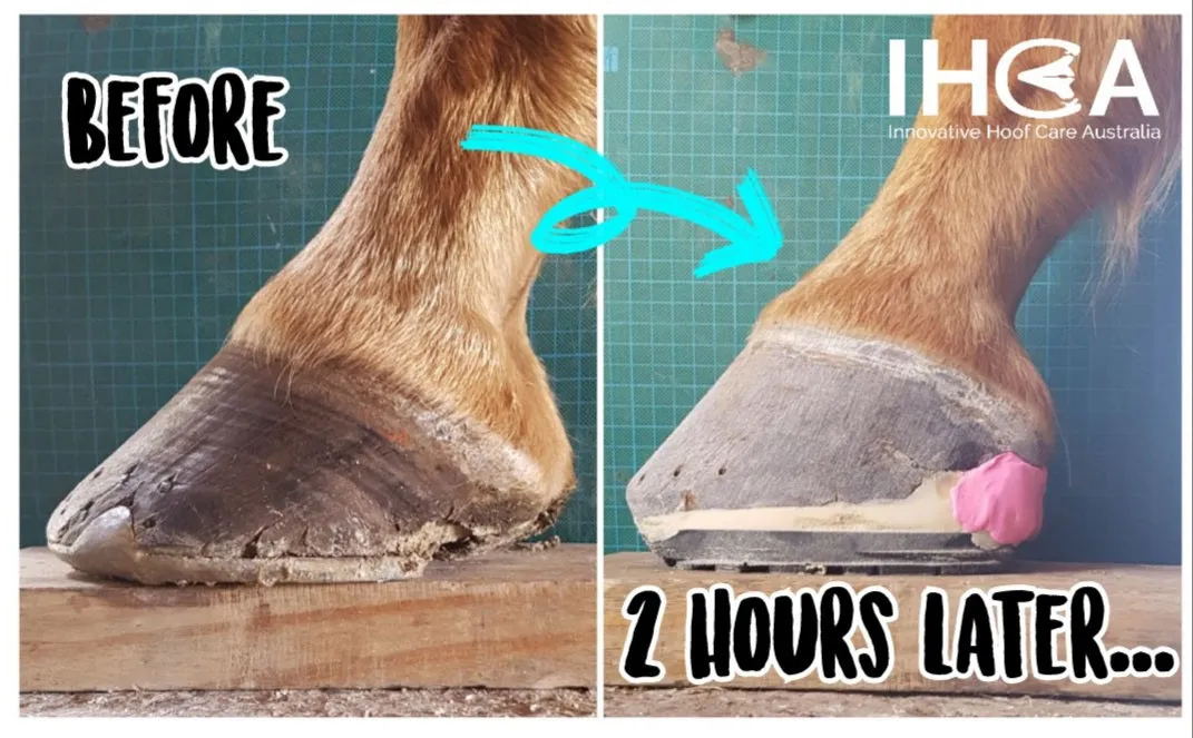 EponaShoe (Pair)