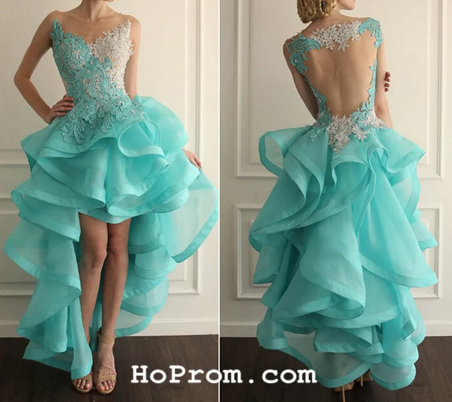 High Low Lace Backless Prom Dresses Backless Prom Dress Lace Evening Dress