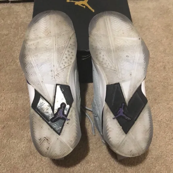 Jordan True Flight (GS) Wolf Grey/Court Purple-Blk