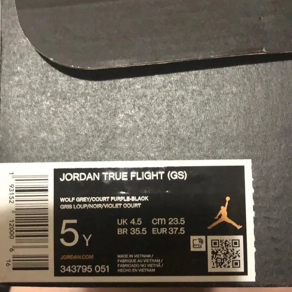 Jordan True Flight (GS) Wolf Grey/Court Purple-Blk