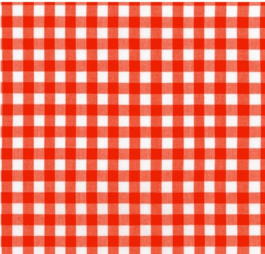 LOVE MIDDY SHIRT IN TURQOISE GINGHAM