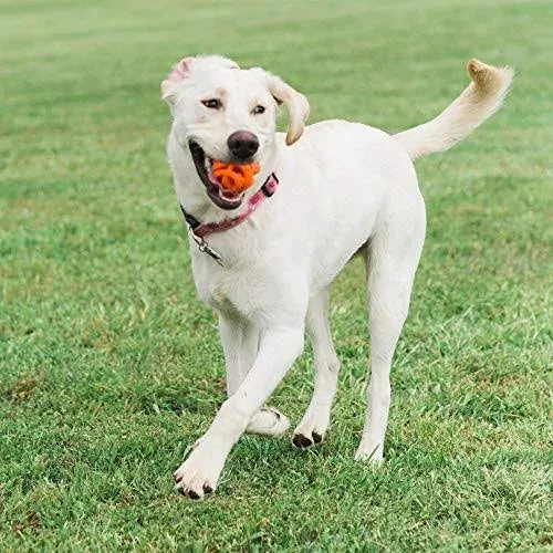 New Chuckit! Breathe Right Fetch Ball 2 Pack For Dogs, Medium