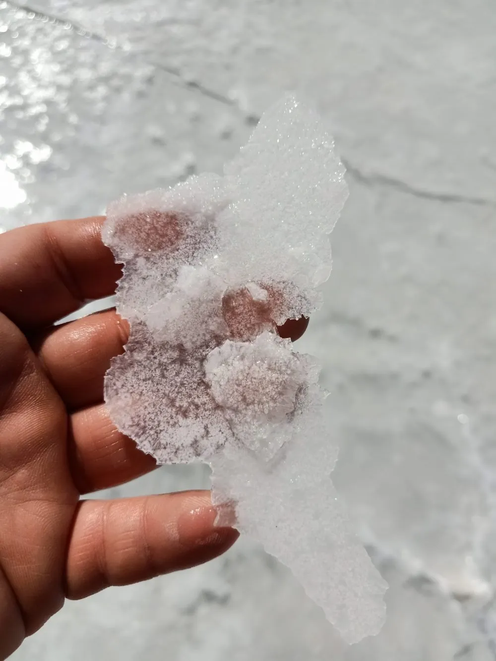 West Australian Amber Desert Salt - 150g